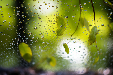 雨季的水珠背景图片