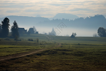 农村田野中的迷雾背景图片