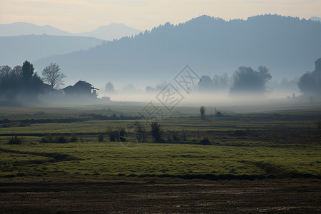 早晨田野中的迷雾背景图片