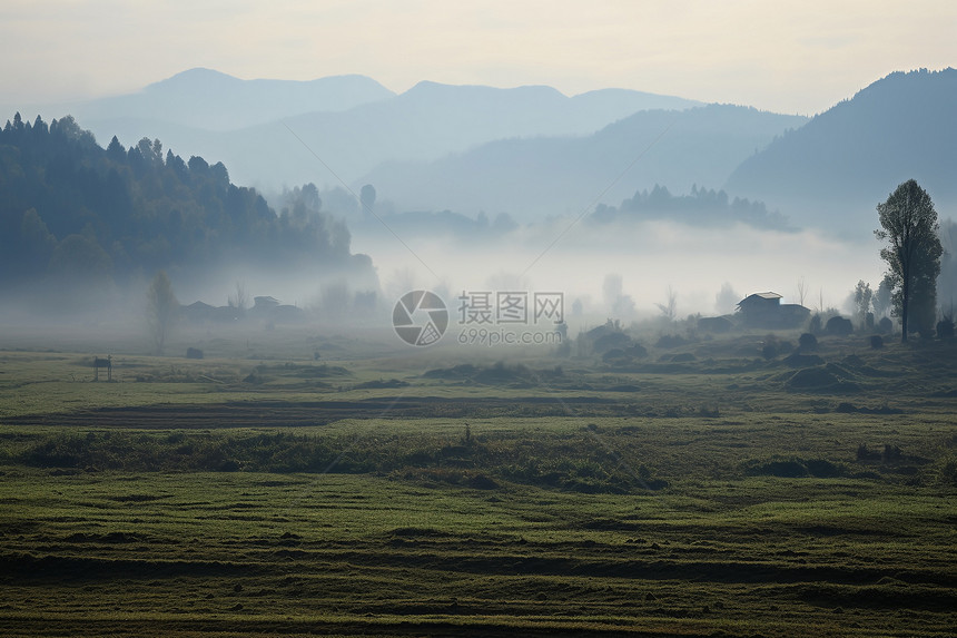 早晨山野中的迷雾图片