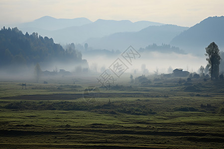 早晨山野中的迷雾背景图片