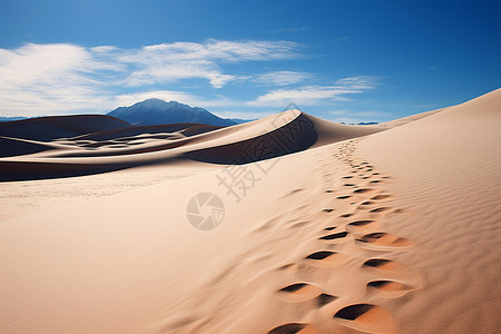 沙漠中的足迹背景图片
