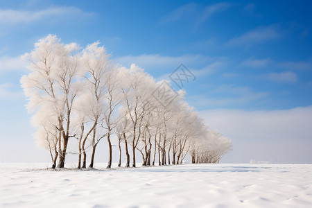 寒冬孤寂的树背景图片