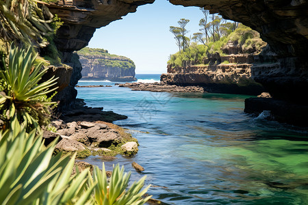 海洞花海洞里的水流背景