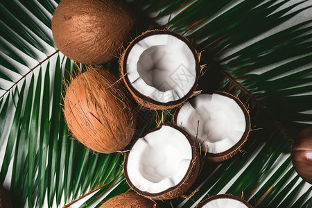 香椰飘香热带椰子叶高清图片