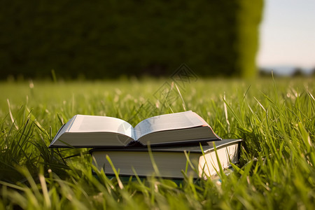 草坪上的书背景图片