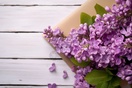 精美的紫色花朵背景图片