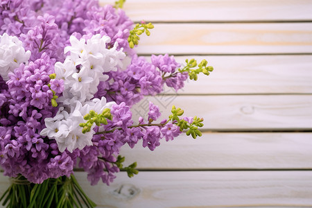 新鲜采摘的紫色花朵背景图片