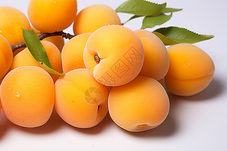 新鲜采摘的杏子水果背景图片