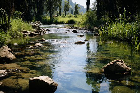 夏季娟娟流淌的乡村河流背景图片