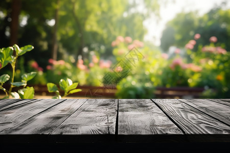 夏日花园的木桌背景背景图片