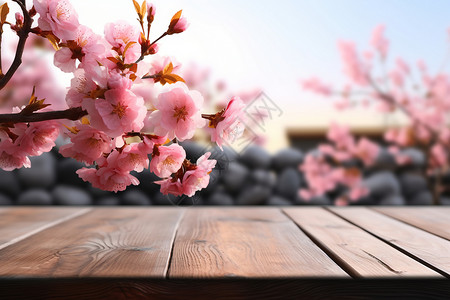 春日的公园樱花背景图片