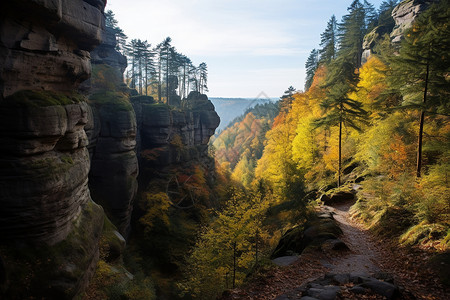 秋日山径背景