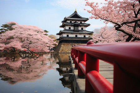 美丽的樱花城堡背景图片