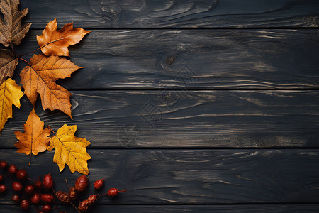 植物树叶装饰秋天的大自然背景