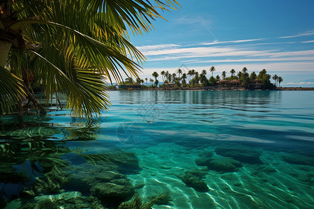 绿色美丽的热带海岛背景图片