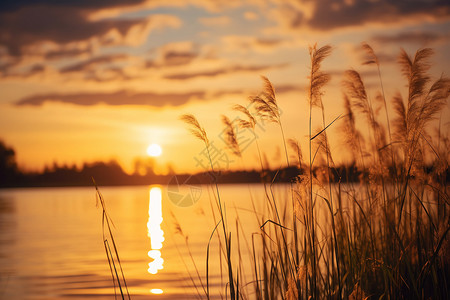 夕阳湖畔黄昏的湖畔背景