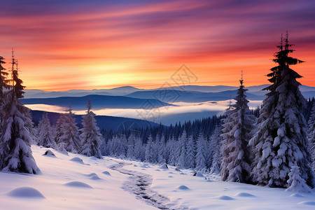 夕阳下的树林夕阳下的积雪树林背景