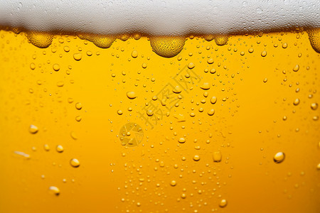 冰镇啤酒啤酒酒花高清图片