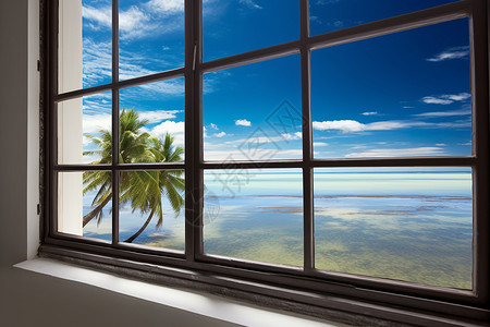 椰树与海的窗景背景图片