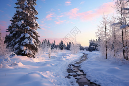 雪地覆盖的森林小溪图片素材