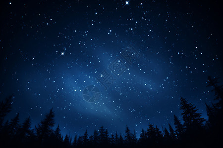 宇宙银河系星空树影背景