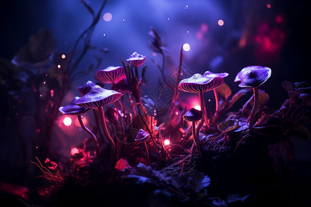 草地上的荧光蘑菇背景图片