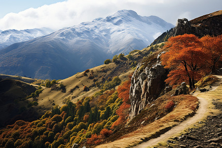 美丽的秋季山谷风景背景图片