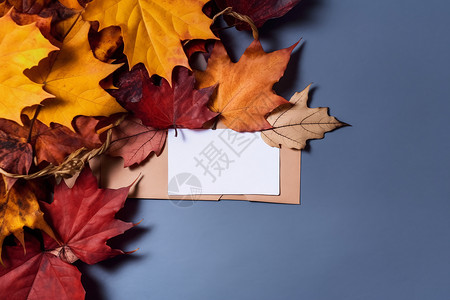秋叶环绕的空白卡片背景图片