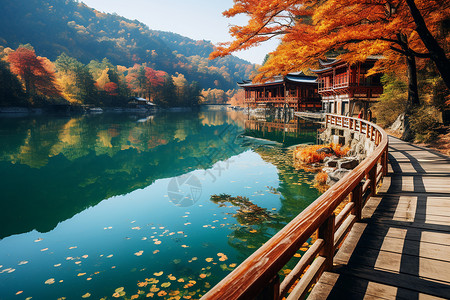 秋日湖畔的木桥背景图片