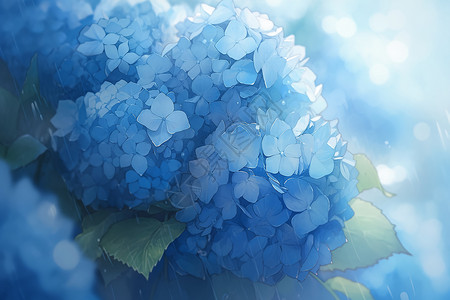漂亮的蓝色绣球花插画背景图片