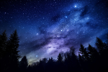 夜晚树林素材星空下的树林背景