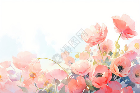 唯美浪漫的玫瑰花花卉插图插画