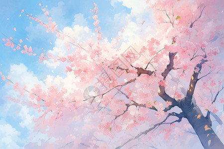 美丽的樱花树背景图片