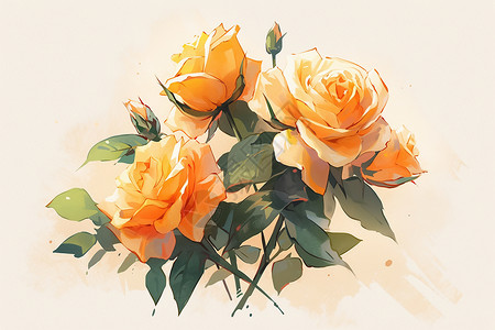 肌肤绽放活力橙色蔷薇插画
