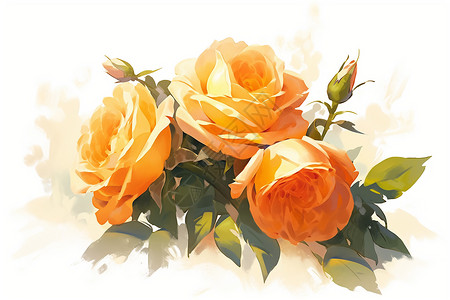 橙色玫瑰插画