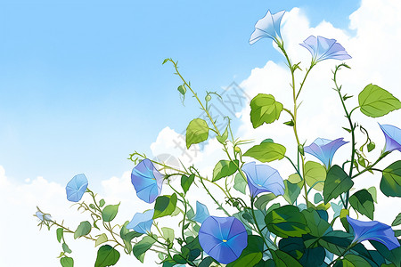 蓝天白云下的美丽花朵背景图片