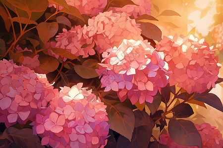 梦幻般的粉色绣球花背景图片