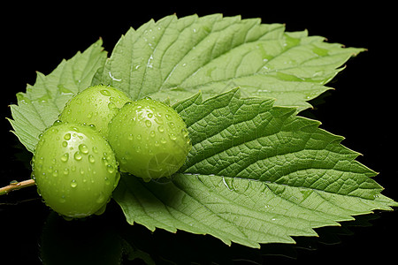 绿色的新鲜果子背景图片