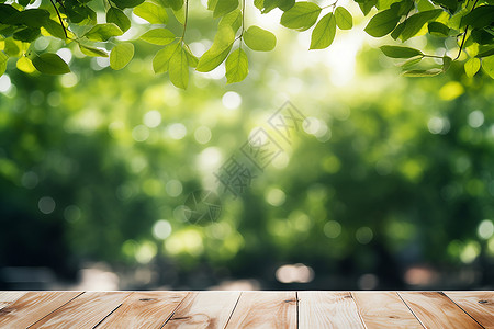 木桌后的绿色树林背景图片
