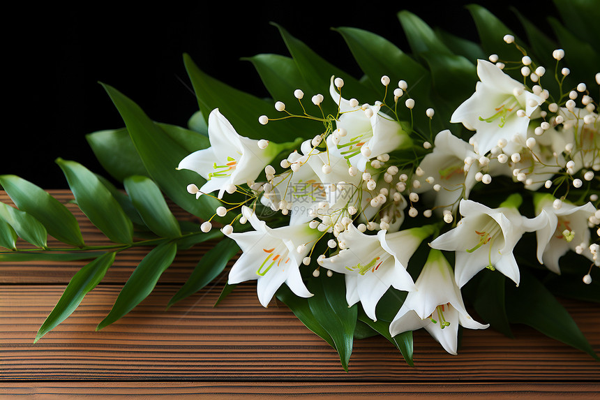 白色的植物花束图片