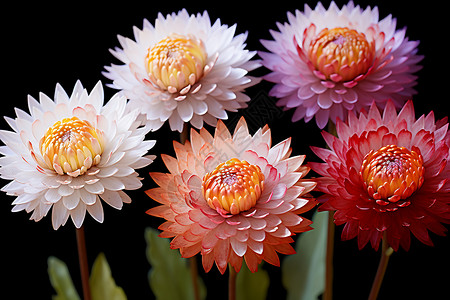 漂亮的里面花园里面盛开的花朵背景