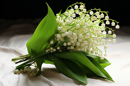 绿叶白花背景图片