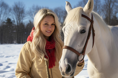 雪地上的白马背景图片