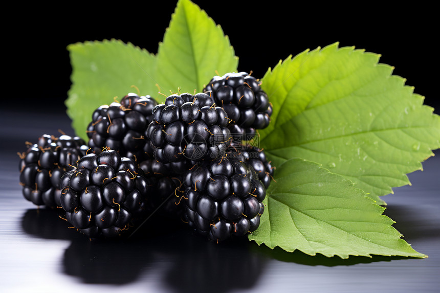 桌面上新鲜的黑色树莓图片
