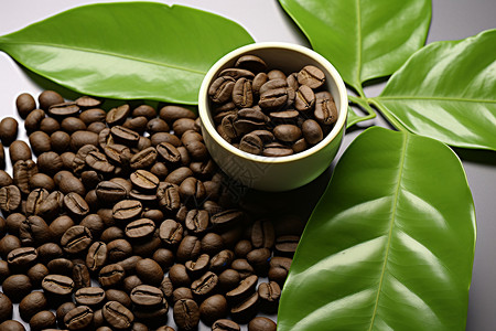 饱满的咖啡豆背景图片