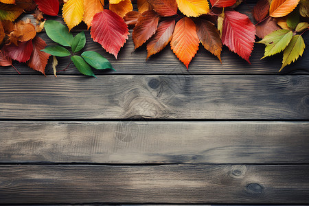 户外木质地板上的叶子背景图片
