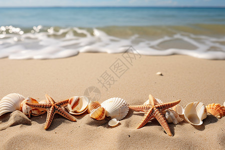 沙滩上一排海星高清图片