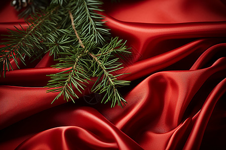 红色丝绸上的松树树枝背景图片