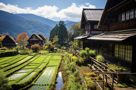 欧洲山谷的田园风光背景图片